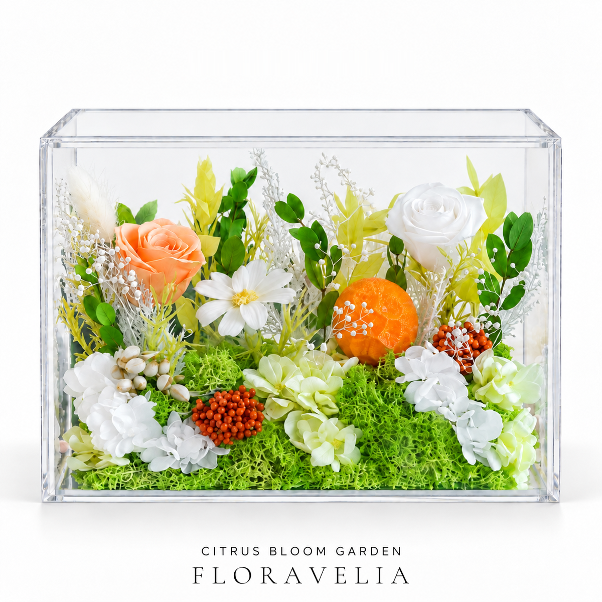 FLORAVELIA Citrus Garden preserved floral acrylic box on white background