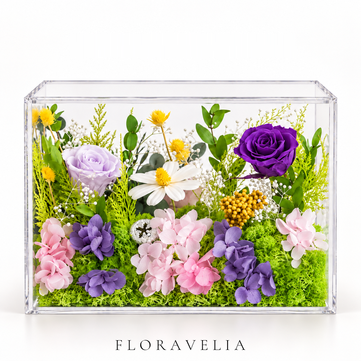 FLORAVELIA Lavender Meadow preserved floral acrylic box on white background