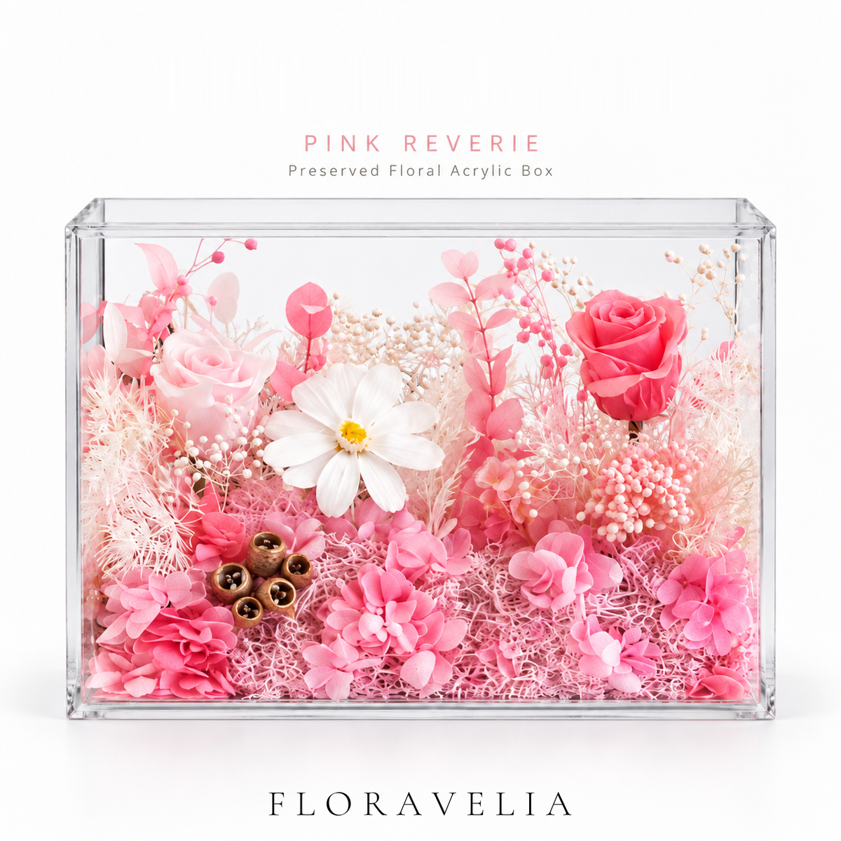 FLORAVELIA Pink Reverie preserved floral acrylic box on white background