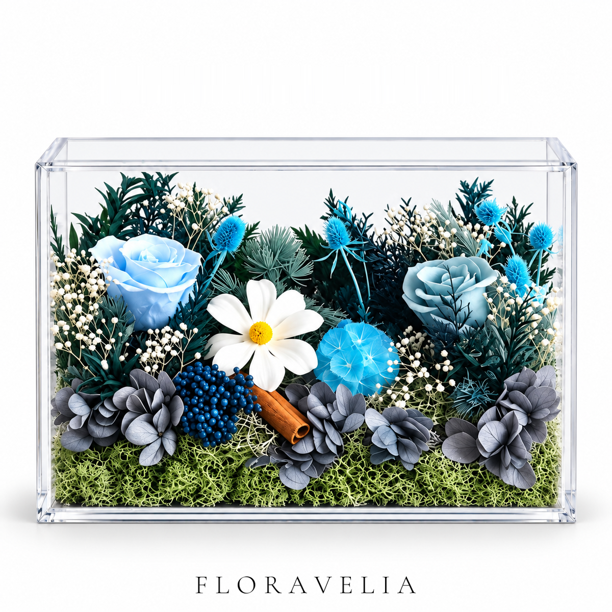 FLORAVELIA Deep Ocean preserved floral acrylic box on white background