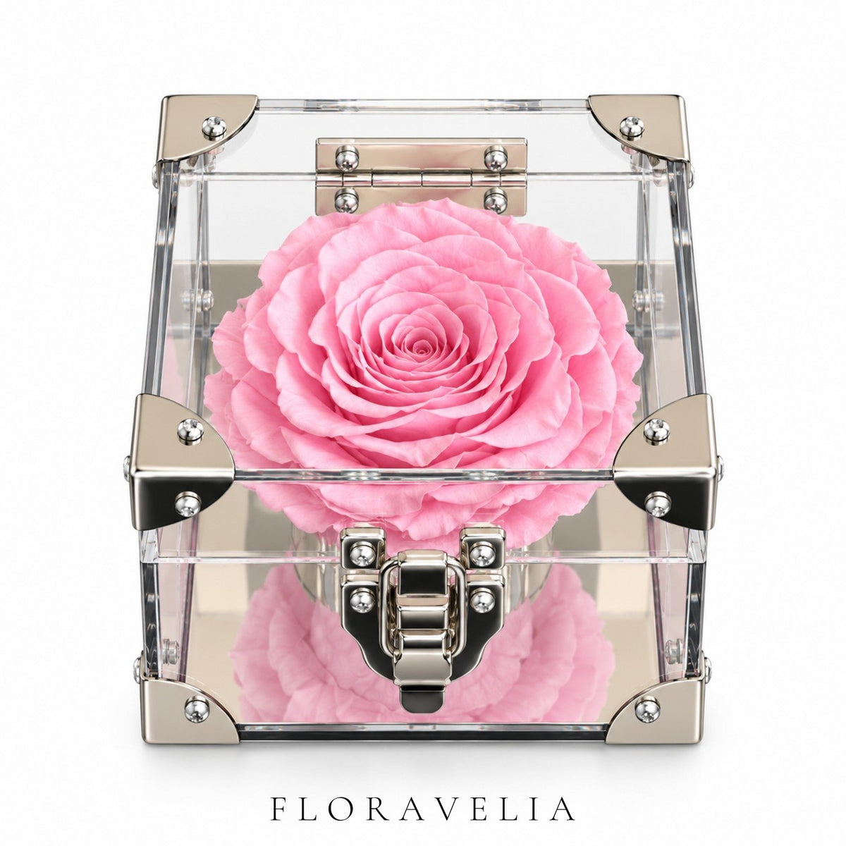 FLORAVELIA Rose Treasure Display Case — Blush Pink — product image