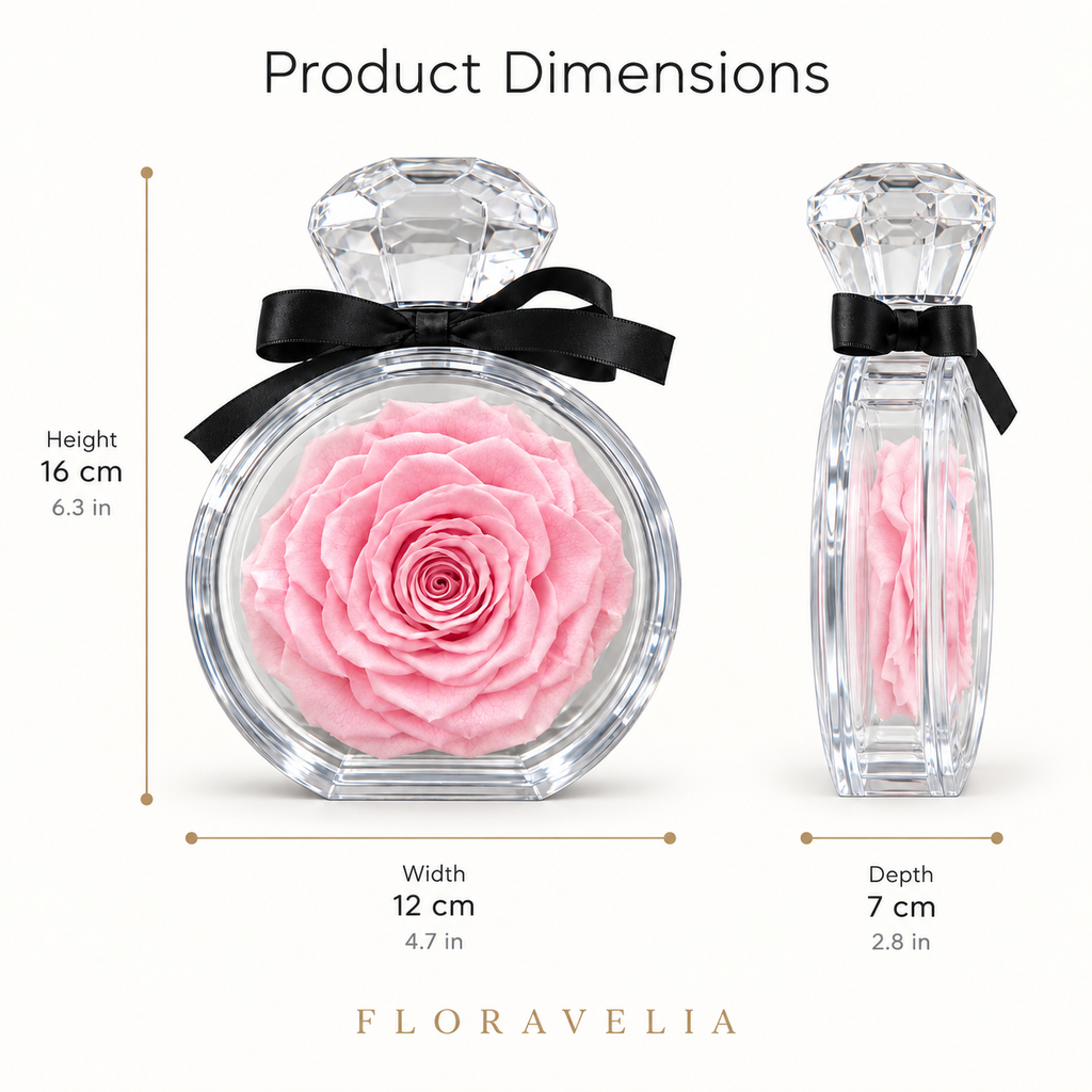 FLORAVELIA Blush Crystal Rose dimensions 12 x 7 x 16 cm