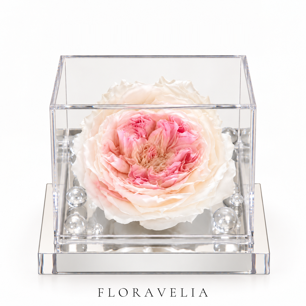 FLORAVELIA Product 06 SKU 01 brand hero