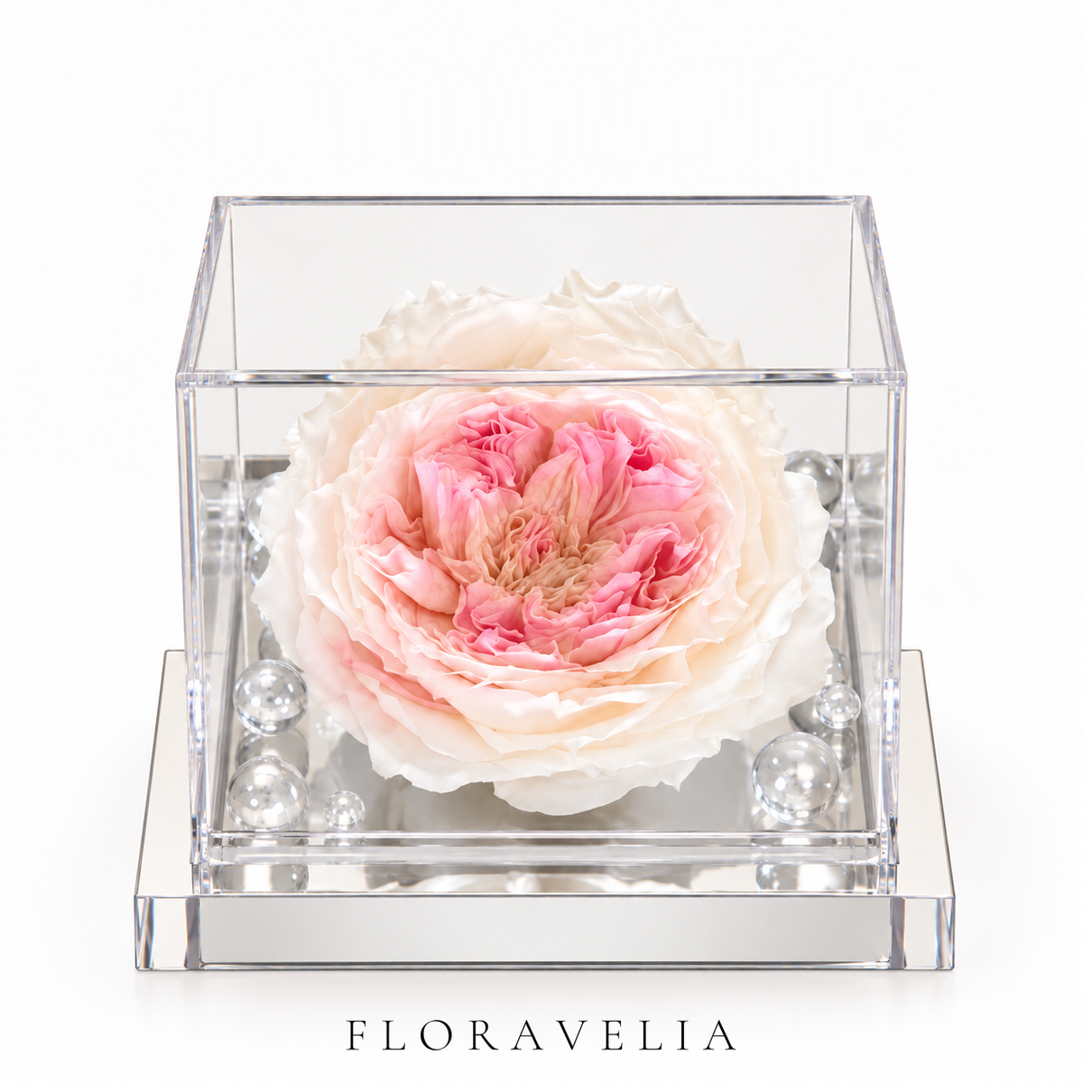 FLORAVELIA Product 06 SKU 01 brand hero
