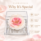 FLORAVELIA Product 06 SKU 01 core benefits