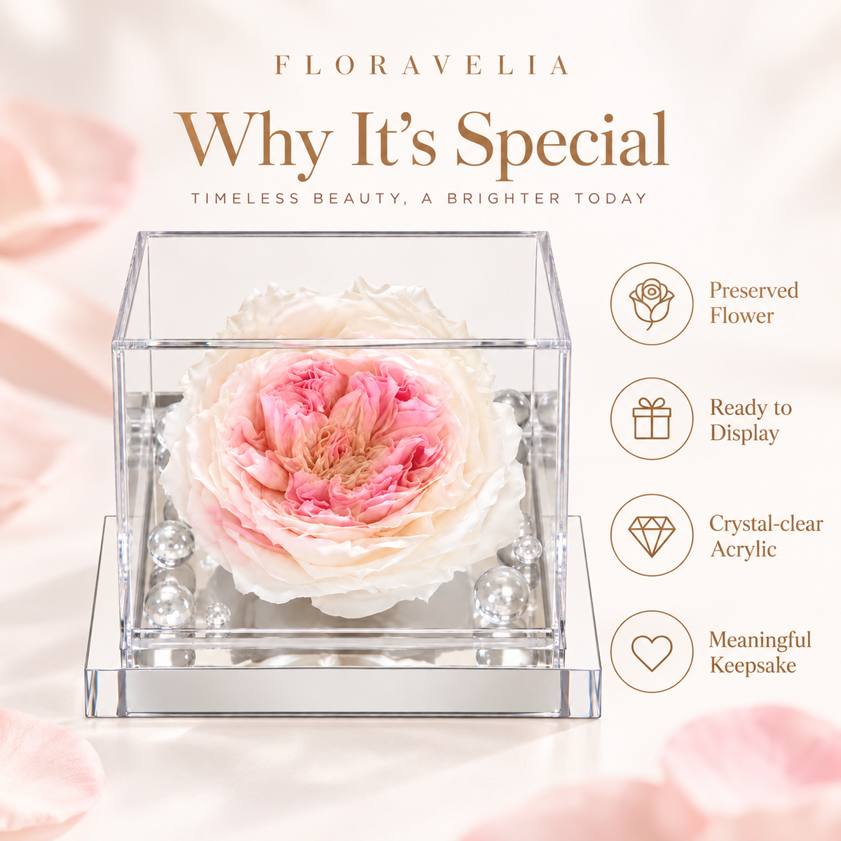 FLORAVELIA Product 06 SKU 01 core benefits