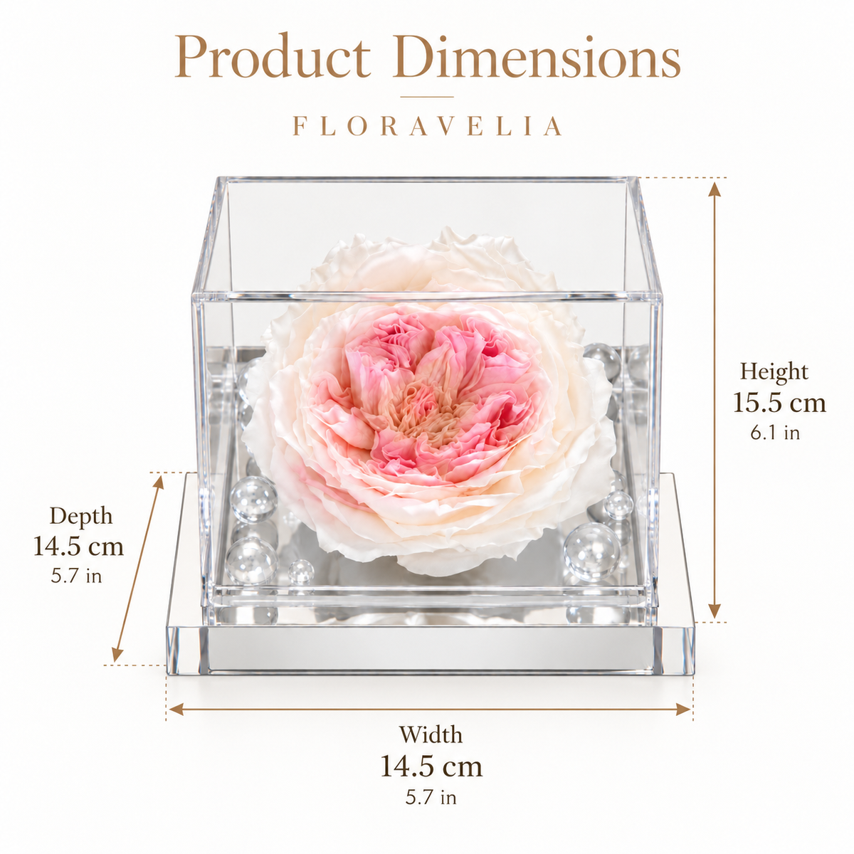 FLORAVELIA Product 06 SKU 01 dimensions 14.5 x 14.5 x 15.5 cm