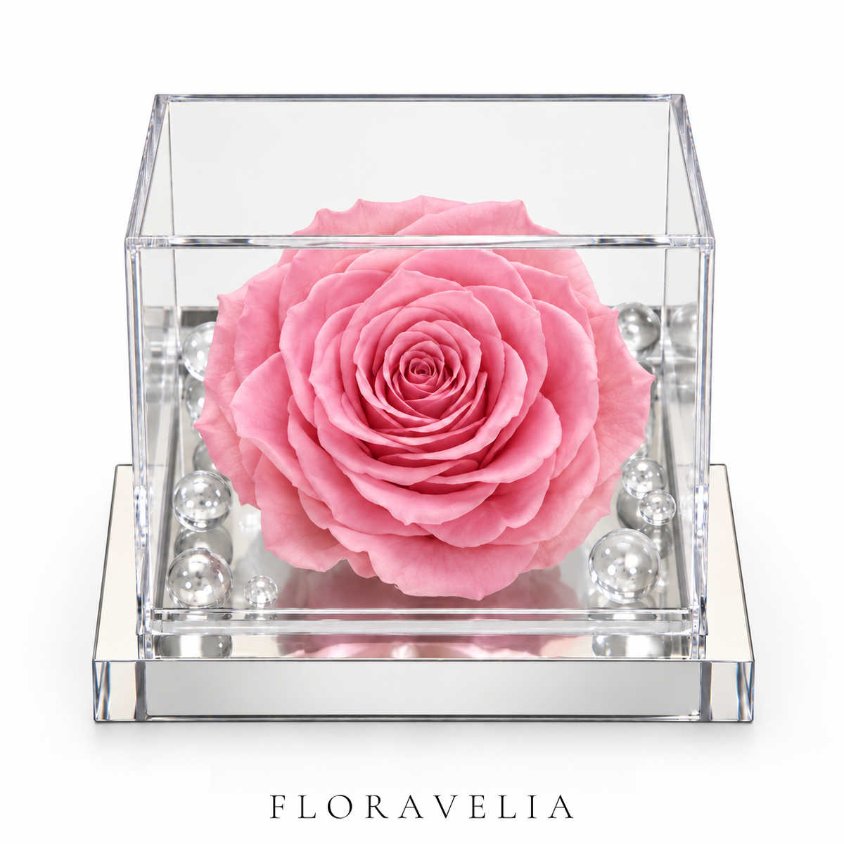 FLORAVELIA Product 06 SKU 02 brand hero