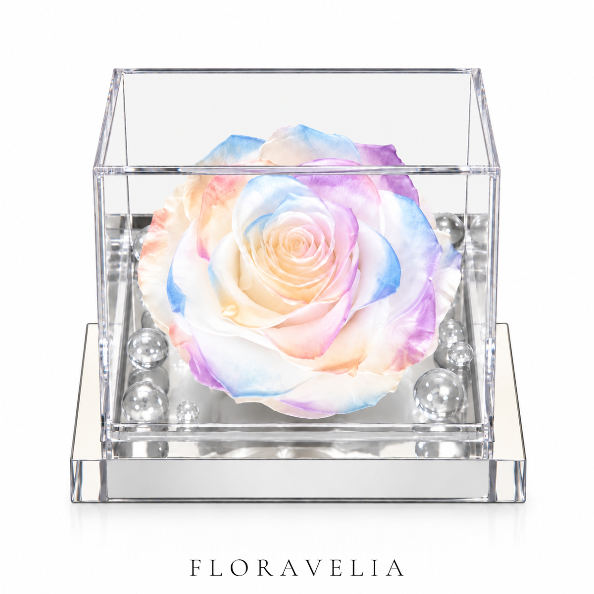 FLORAVELIA Bloom Display Cube — Pastel Rainbow — brand hero