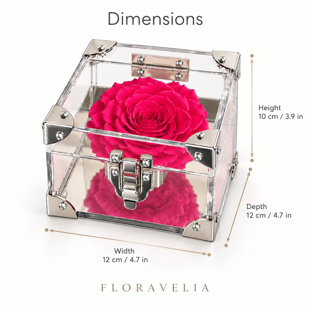 FLORAVELIA Product 07 SKU 01 dimensions 12 x 12 x 10 cm