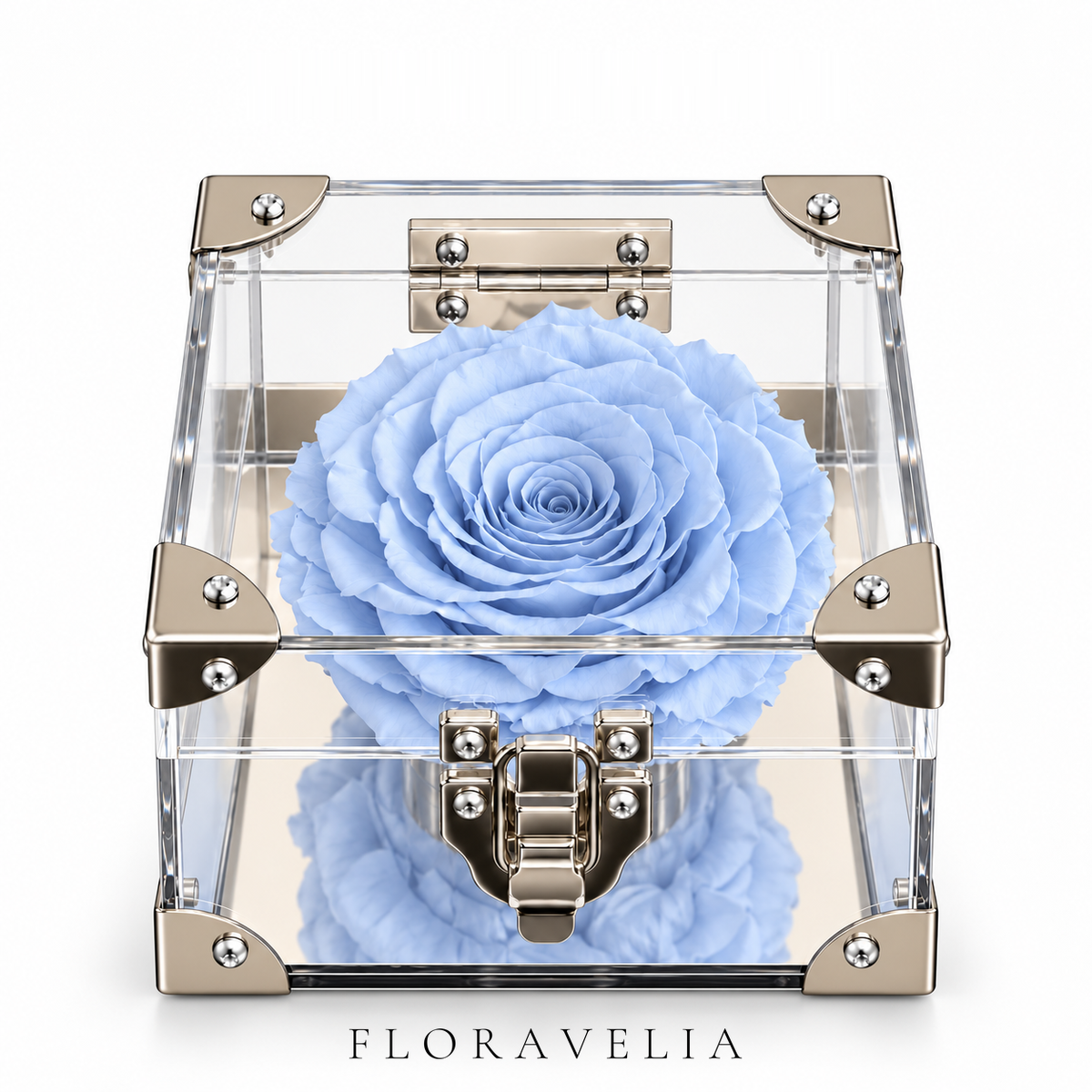 FLORAVELIA Product 07 SKU 02 Powder Blue brand hero
