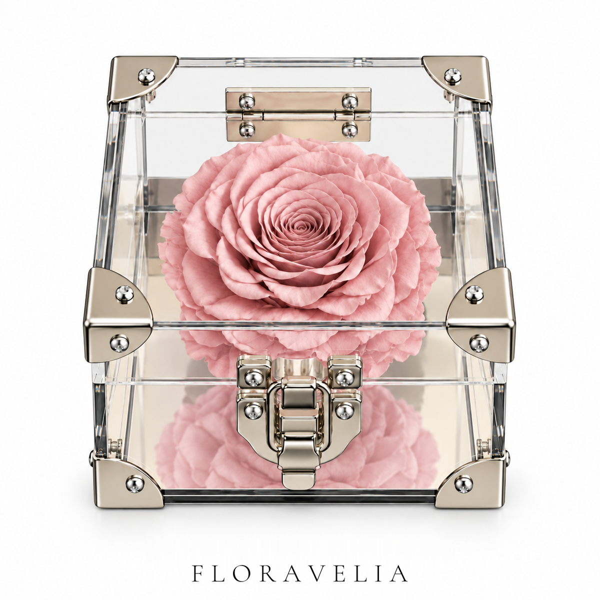 FLORAVELIA Product 07 SKU 03 Dusty Rose brand hero